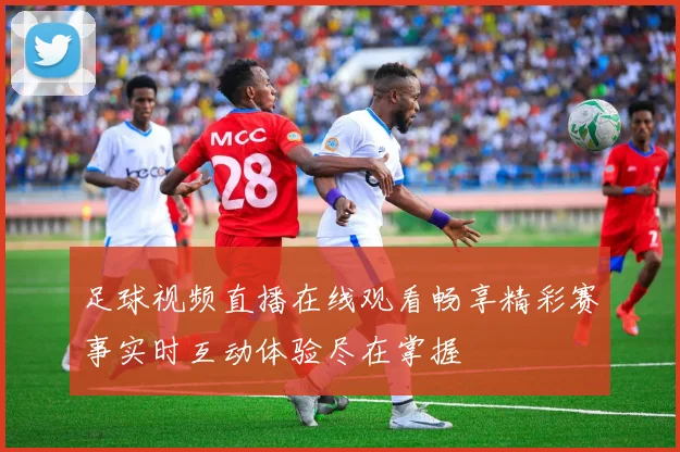 足球视频直播在线观看畅享精彩赛事实时互动体验尽在掌握